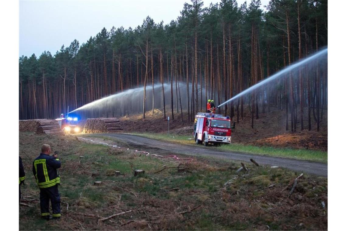 Waldbrand In Mecklenburg Vorpommern War Es Brandstiftung