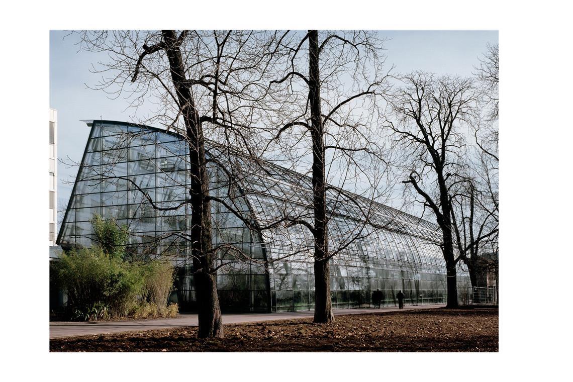 . . . ist Carlo Weber beim Amazonienhaus 2000 in der Stuttgarter Wilhelma leitend verantwortlich gewesen. Das Amazonienhaus zeigt sich zum Park mit einer großen gewölbten Glashülle, Räume für die Pfleger werden entlang eines massiven Rückens zur stark befahrenen Pragstraße angeordnet.