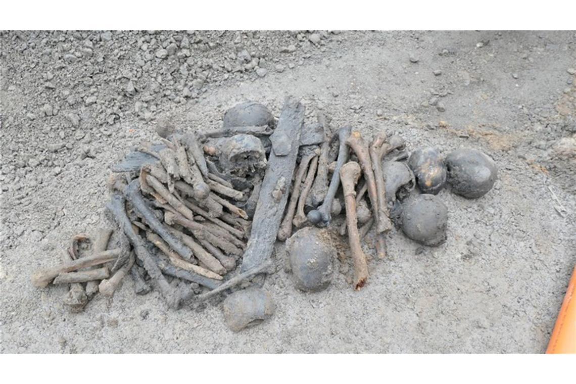 15 menschliche Schädel und viele weitere Knochen sind im nordrhein-westfälischen Lippetal gefunden worden.