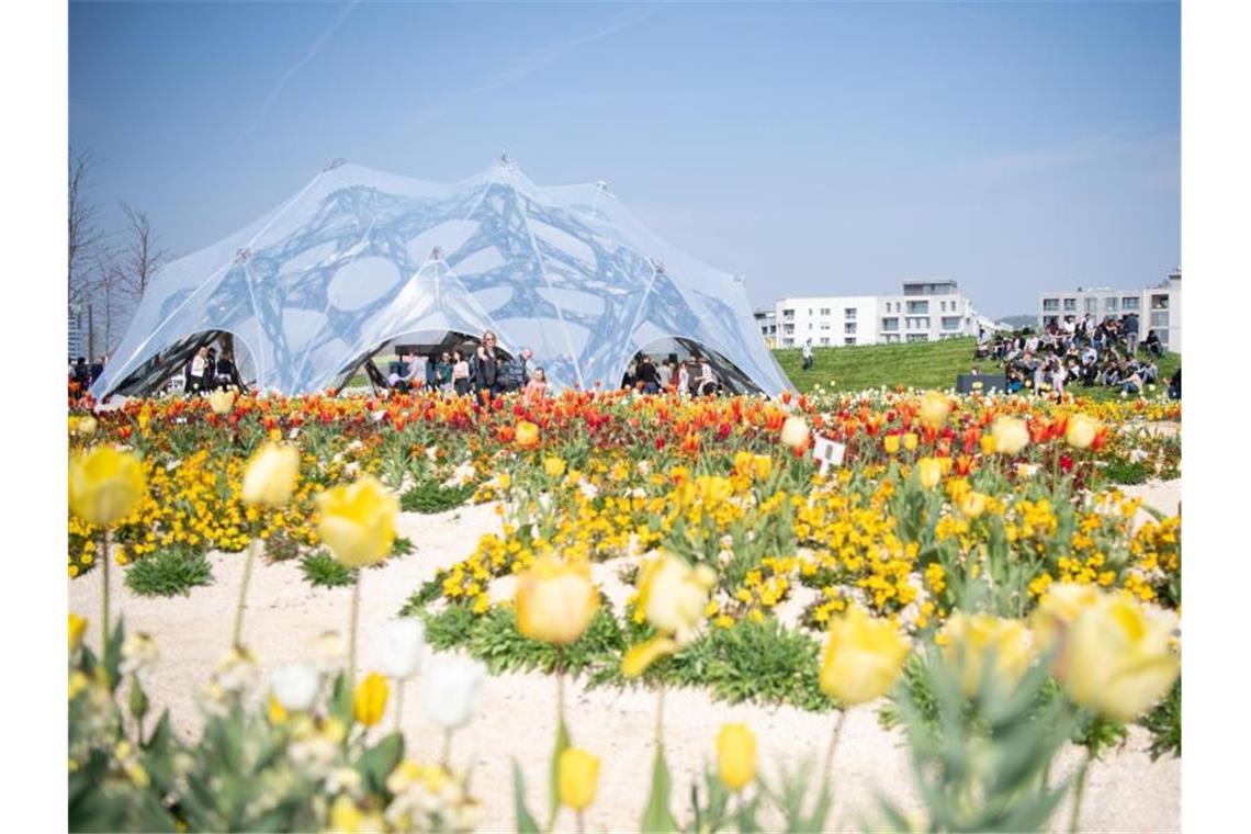 350 000 Besucher in vier Wochen bei Bundesgartenschau 350 000 Besucher in vier Wochen bei Bundesgartenschau. Foto: Sebastian Gollnow/Archivbild