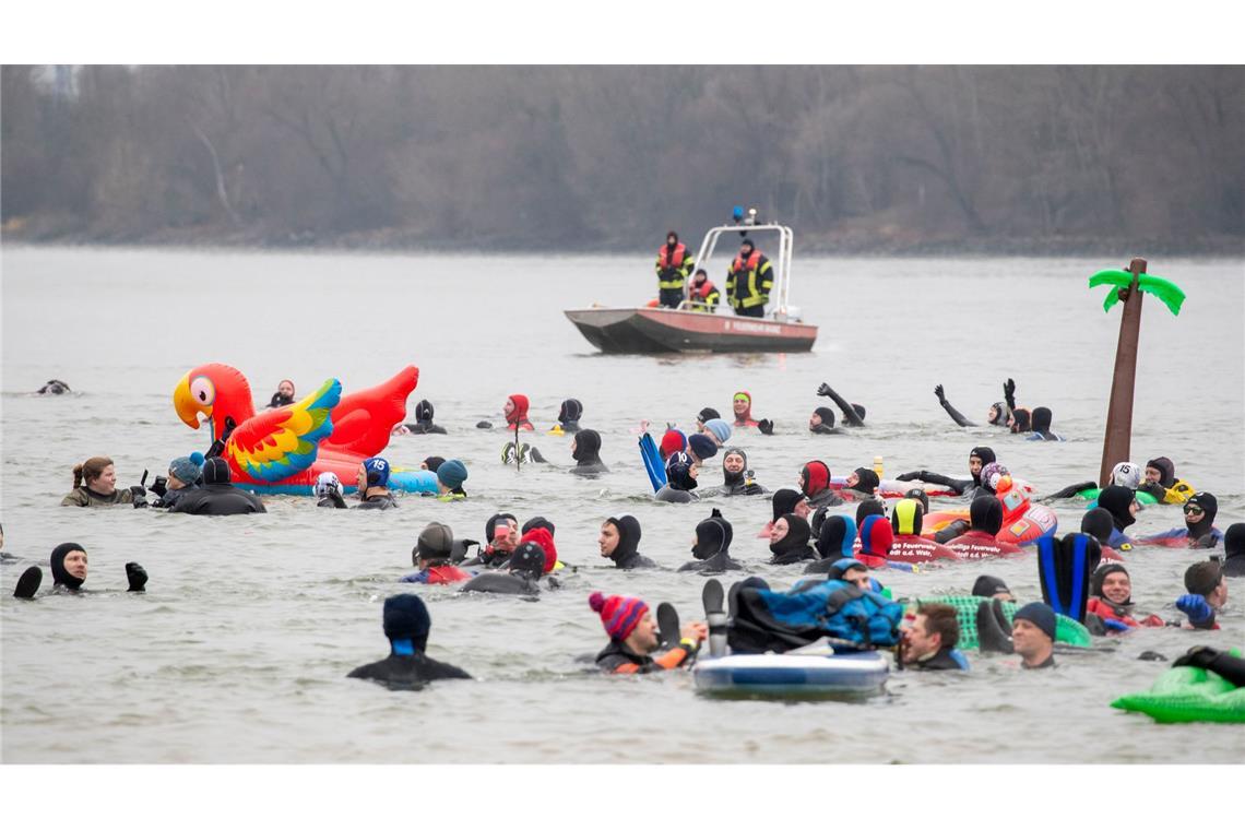 Abschwimmen im Rhein.