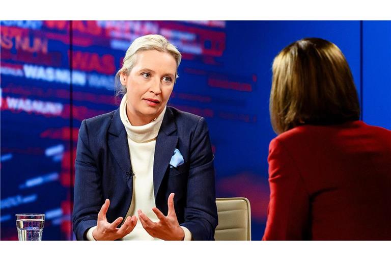 AfD-Chefin Alice Weidel