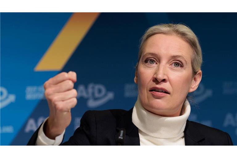 AfD-Chefin Alice Weidel soll ihre Partei als Kanzlerkandidatin in den Bundestagswahlkampf führen.