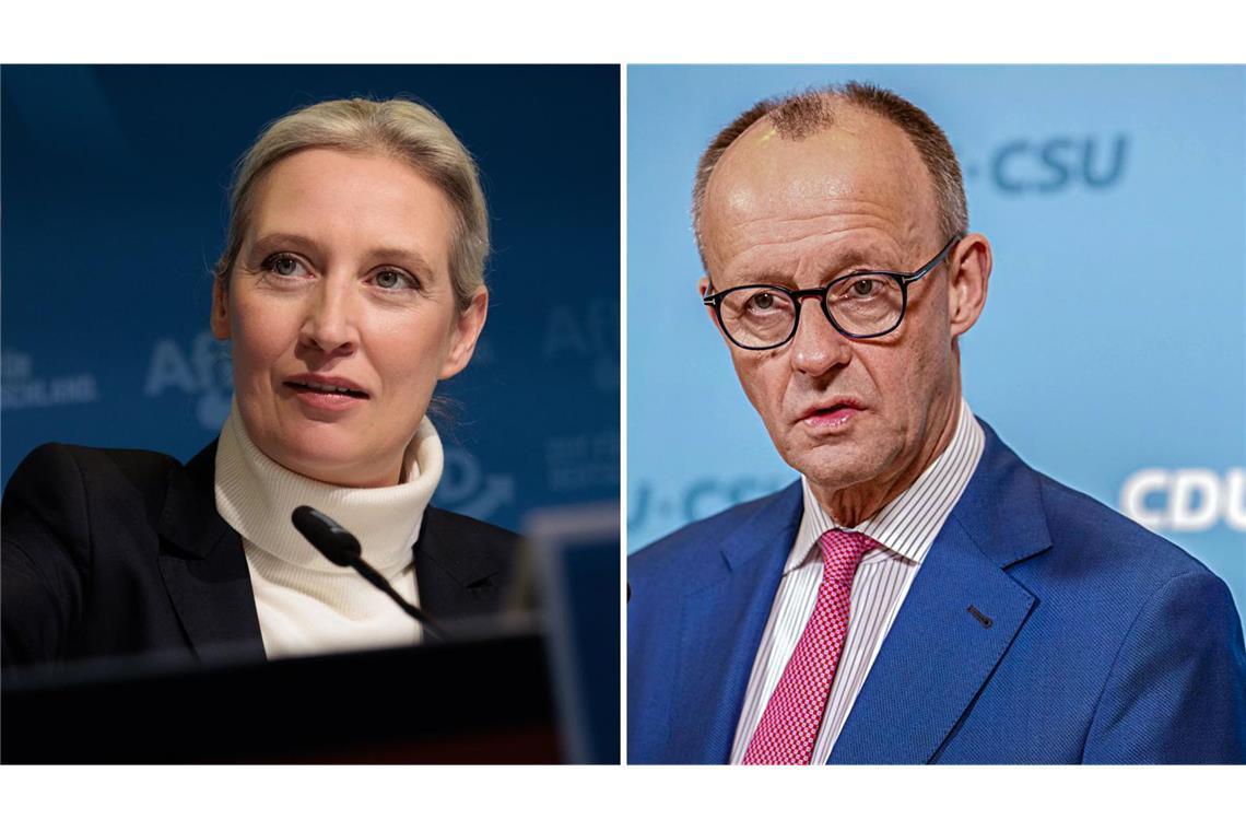 AfD-Chefin Weidel wendet sich in einem Brief an CDU-Chef Friedrich Merz.