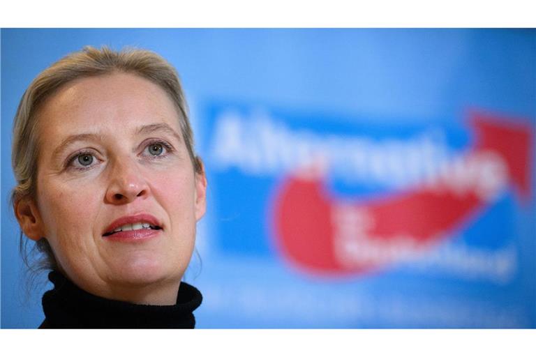 AfD-Partei und Fraktionschefin Alice Weidel.