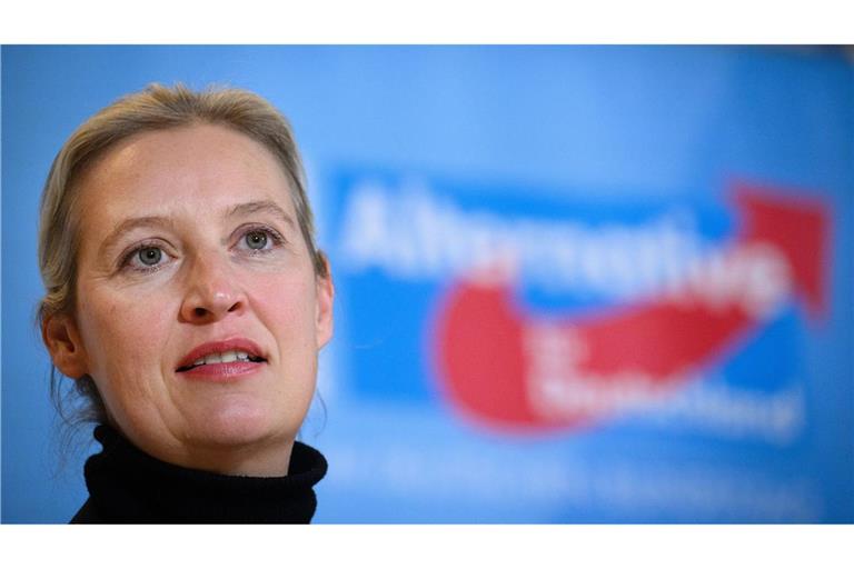 AfD-Partei- und Fraktionschefin Alice Weidel