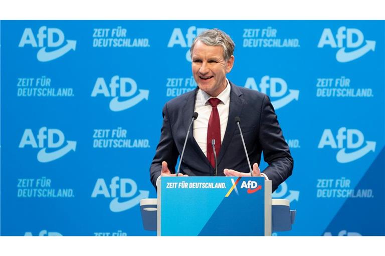 AfD-Rechtsaußen Björn Höcke spricht zu mehreren Änderungsanträgen am Wahlprogramm.