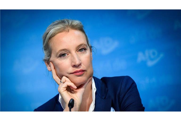 Alice Weidel, Bundesvorsitzende der AfD, gratulierte der rechten FPÖ in Österreich zum Sieg. (Archivbild)