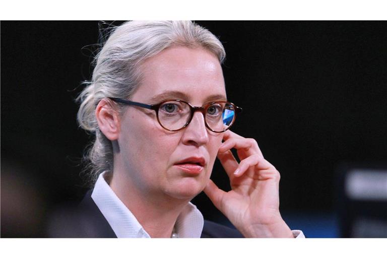 Alice Weidel, Kanzlerkandidatin der AfD. Laut einer Forscherin nutzt die Partei die sozialen Medien, um die NS-Zeit umzudeuten (Archivfoto).