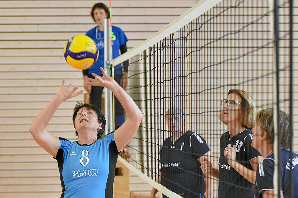 TSG Backnang Volleyball: Birgit Sterzel ist in vierfacher Funktion aktiv