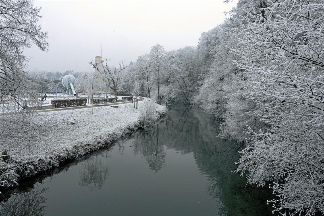 Am 20. Januar sind der Annonaygarten und die Bäume an der Murr in Backnang von Raureif bedeckt. Foto: Alexander Becher