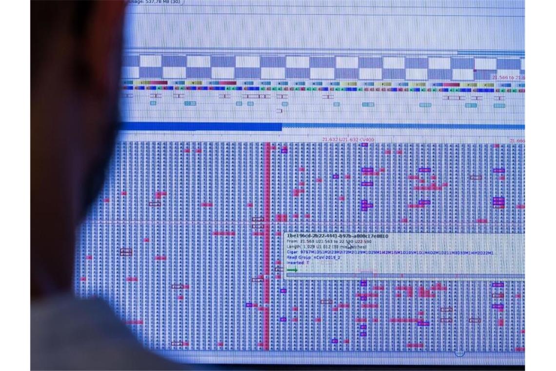 RKI: Omikron verdrängt Delta zunehmend Am Computermonitor sucht Christian Kohler im Sequenzierlabor für Corona-Varianten (CoMV-Gen) in der Universitätsmedizin Greifswald nach neuen Varianten und Mutationen des Corona-Virus. Foto: Jens Büttner/dpa-Zentralbild/dpa