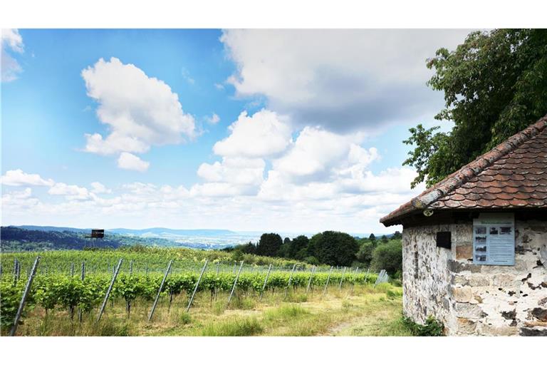 An der Waldstückleshütte kann man mit bester Aussicht rasten