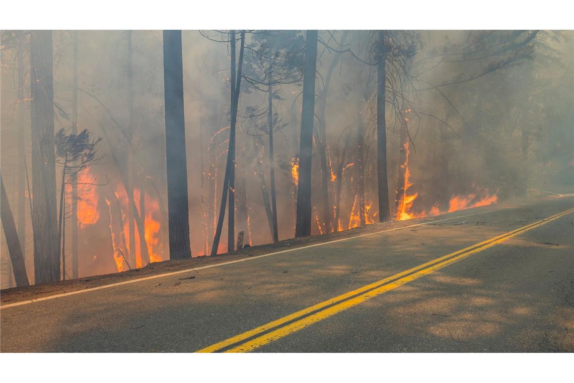 Angesichts des Klimawandels warnen Experten, dass Feuer häufiger auftreten und mehr Zerstörungskraft entfalten.