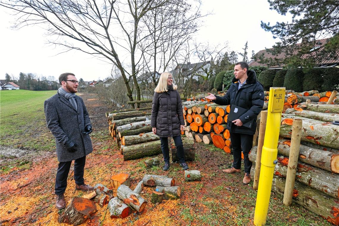 Bäume am Holzbach sind plötzlich alle weg Anwohnerin Blanka Herzig mit Bürgermeister Kai-Uwe Ernst (links) und Bauamtsleiter Pierre Mayer am Holzbach in Unterbrüden. Fotos: A. Becher