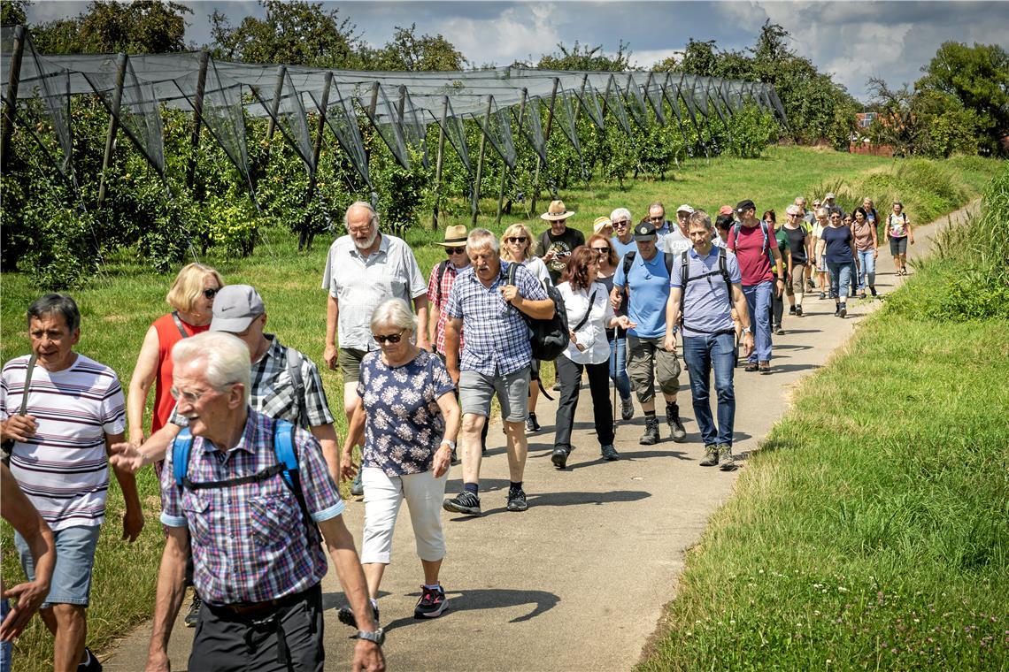 Auch der zweite BKZ-Wandertag durch die Kulturlandschaft ab Mittelschöntal erfreut sich großer Beliebtheit. Fotos: Alexander Becher