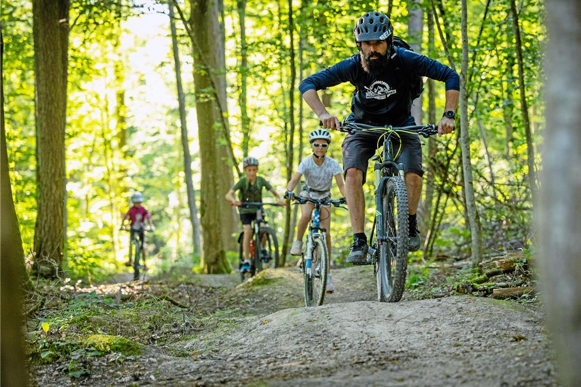 Auch im Backnanger Plattenwald gibt es einen legalen Trail. Der ist vor allem für Kinder geeignet. Die Interessengemeinschaft der Mountainbiker hätte gerne noch weitere und auch anspruchsvollere legale Trails. Doch das steht aktuell auf der Kippe. Archivfoto: Alexander Becher