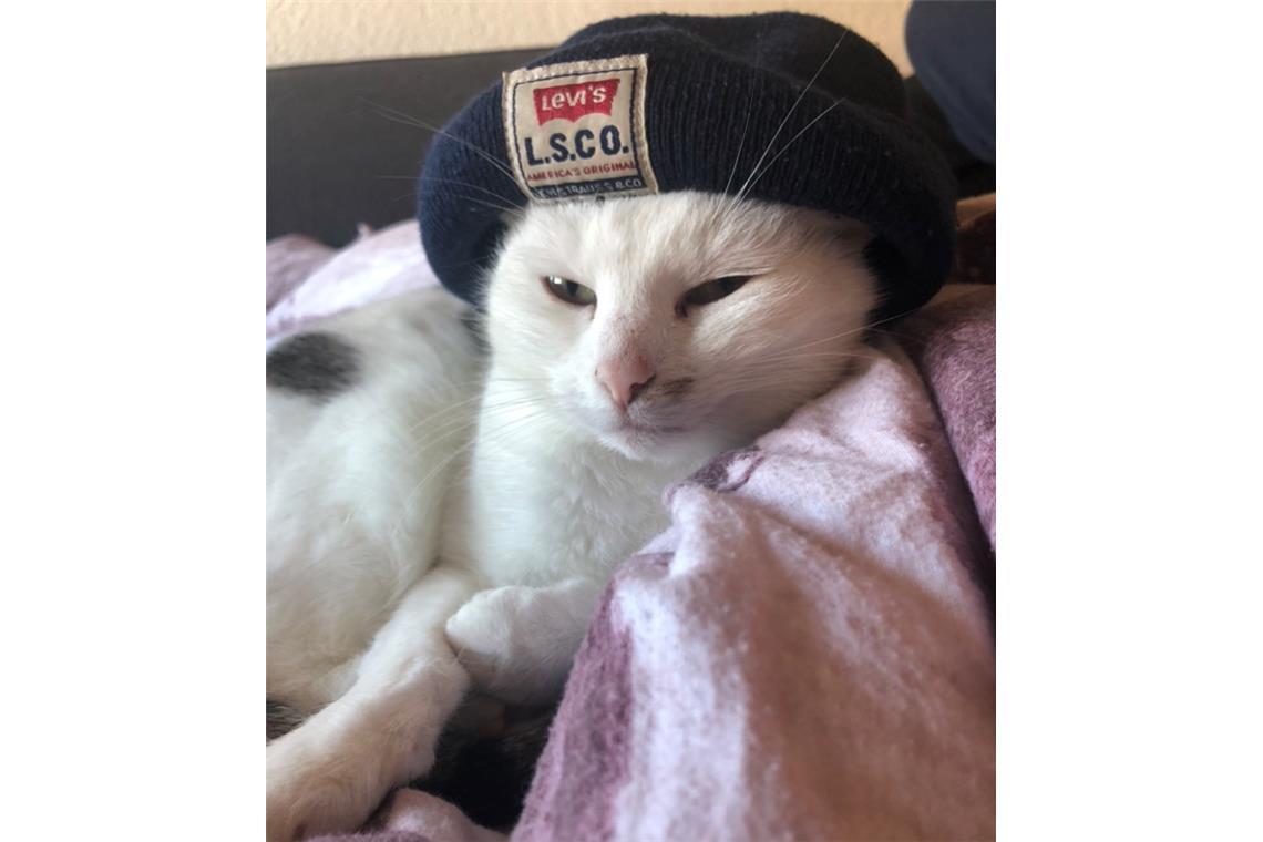 Auch Katze Lucky hat offensichtlich viel Stil. Ganz besonders ist aber auch die ...