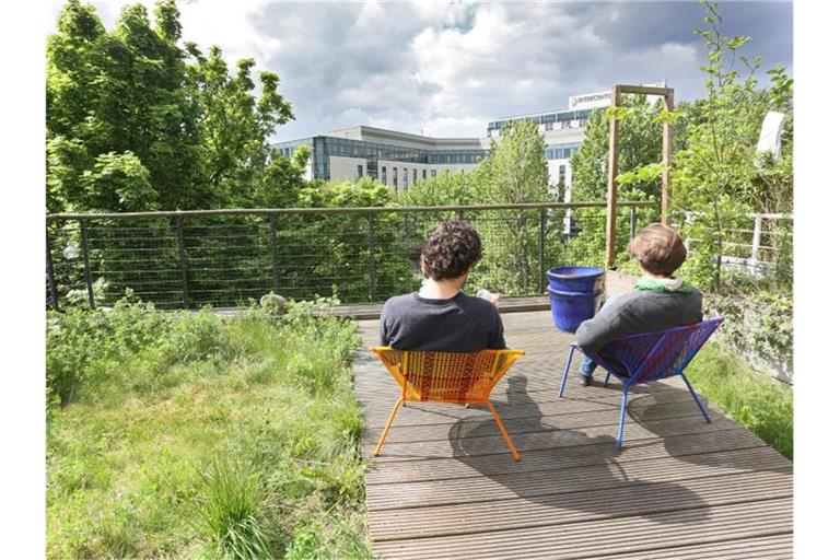 Auf dem begrünten Dach eines Öko-Hauses sitzt ein Paar. Foto: picture alliance/dpa/Archivbild