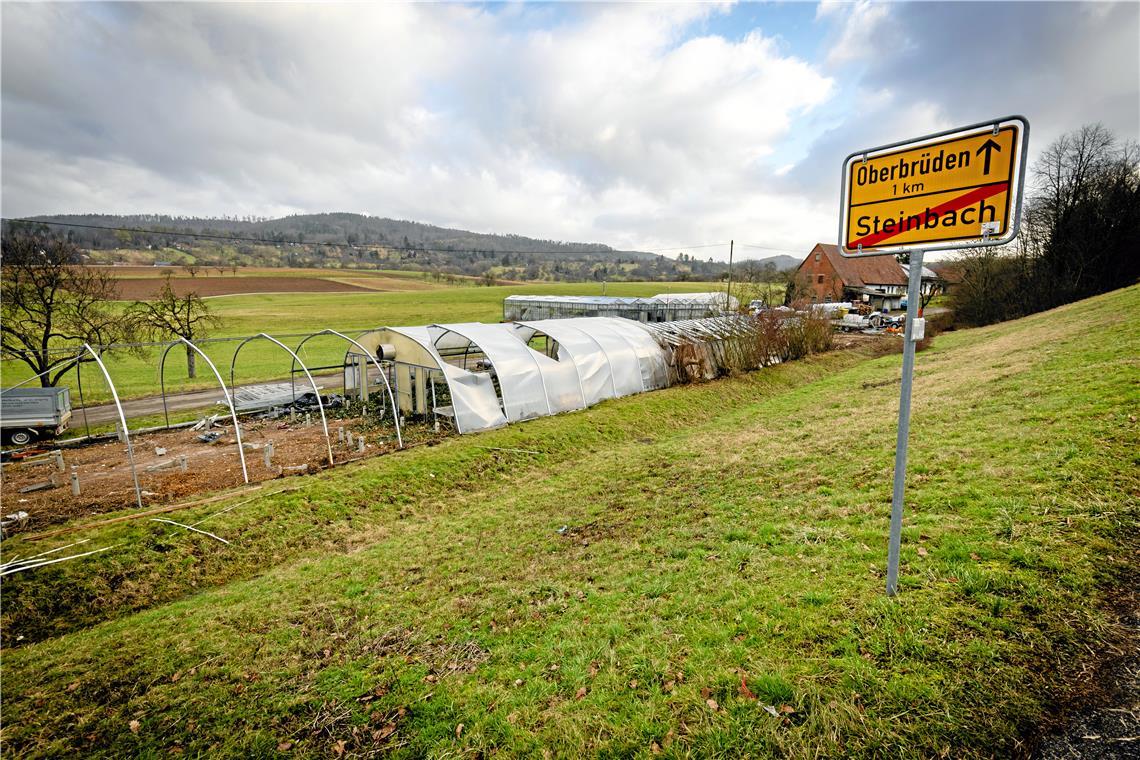 Auf dem Geländestreifen, wo derzeit noch Gewächshäuser der Gärtnerei Schock stehen, werden die Schuppen gebaut. Foto: Alexander Becher