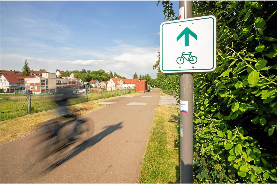 Auf dem Radweg an der Oberen Walke sind zwei Radfahrer zusammengestoßen. Symbolfoto: Alexander Becher