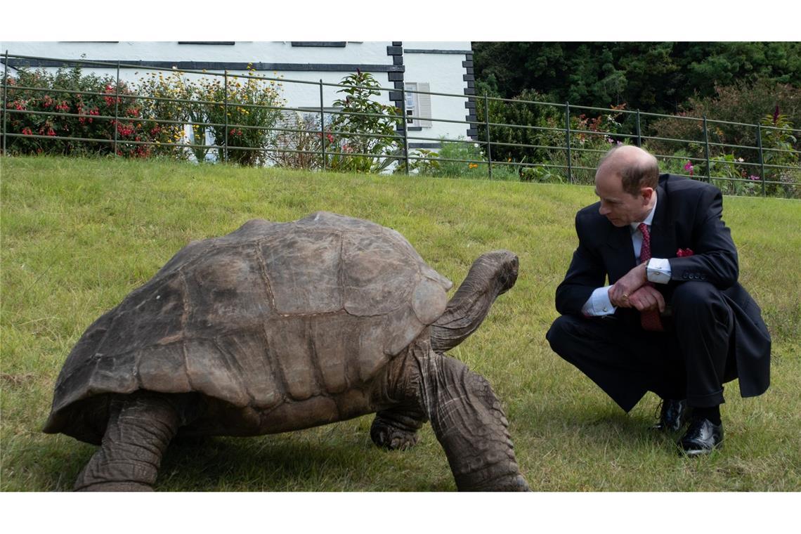 Auf der Insel St. Helena trifft Prinz Edward die Schildkröte Jonathan.