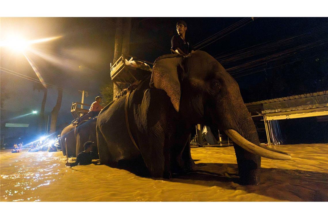 Auf einem Elefanten bringt ein Mönch in Thailand Hilfsgüter (Foto aktuell).