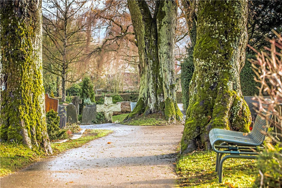 Auf Friedhöfen wie in Oppenweiler können Hinterbliebene am Grab verweilen und in Ruhe trauern. Foto: Alexander Becher