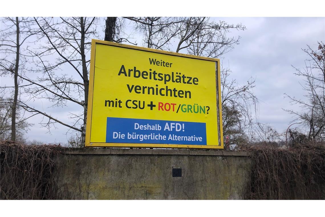 Auffällige AfD-Wahlwerbung wie hier in Bamberg ist auch in anderen Städten in Deutschland zu sehen. Es handelt sich nicht um offizielle AfD-Wahlplakate, sondern um eine Aktion des Spenders Gerd Dingler aus Österreich. (Archivbild)