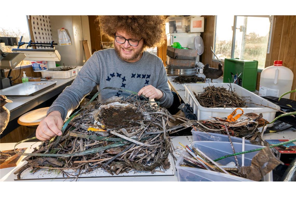 Auke-Florian Hiemstra untersucht Vogelnester wissenschaftlich und macht dabei erstaunliche Entdeckungen.