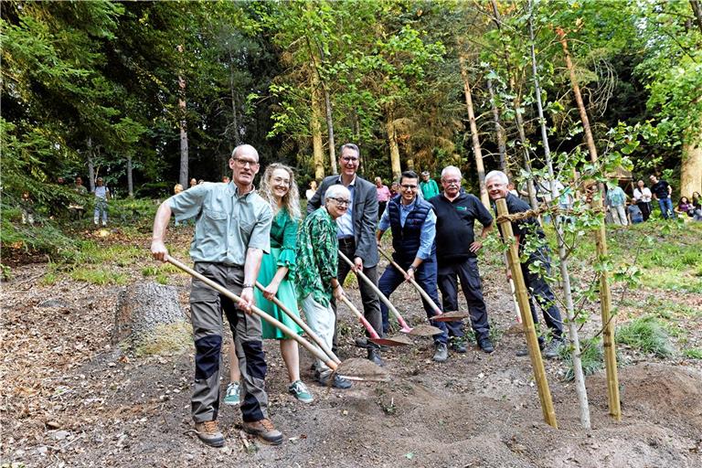 Axel Kalmbach, Michelle Fuchs, Edelgard Löffler, Richard Sigel, Vincenzo Giuliano sowie die Naturparkführer Manfred Krautter und Walter Hieber (von links) schaufeln mit ihren Spaten Erde auf die Wurzeln des frisch gepflanzten Ginkgobaums. Foto: Jörg Fiedler 