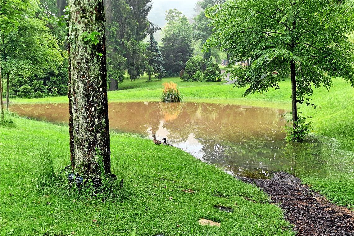 Backnang hat einen neuen See auf dem Waldfriedhof. Foto: Petra Maaß