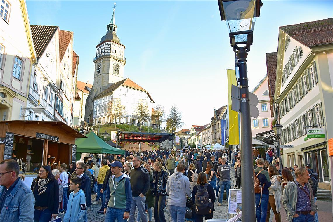 Backnanger Gänsemarkt 2024. SK