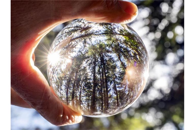 Bäume und die Sonne sind in einer Glaskugel zu sehen. Foto: Uli Deck/dpa/Archivbild