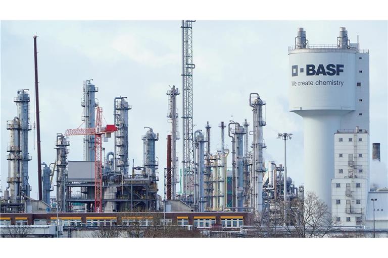 BASF kann seinen Umsatz nicht halten.