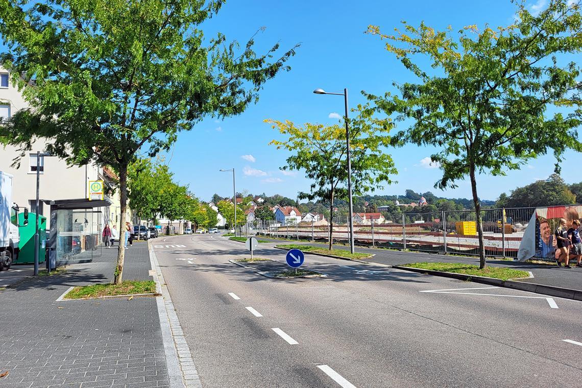 Begrünt, hell und offen ist die Straße heute. Wohnbebauung soll folgen.Foto: Kristin Doberer