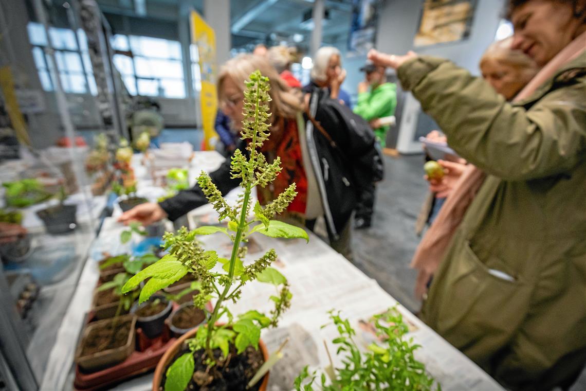 Bei der Pflanzentauschbörse im Technikforum kommen die Besucherinnen und Besucher miteinander ins Gespräch. Foto: Alexander Becher