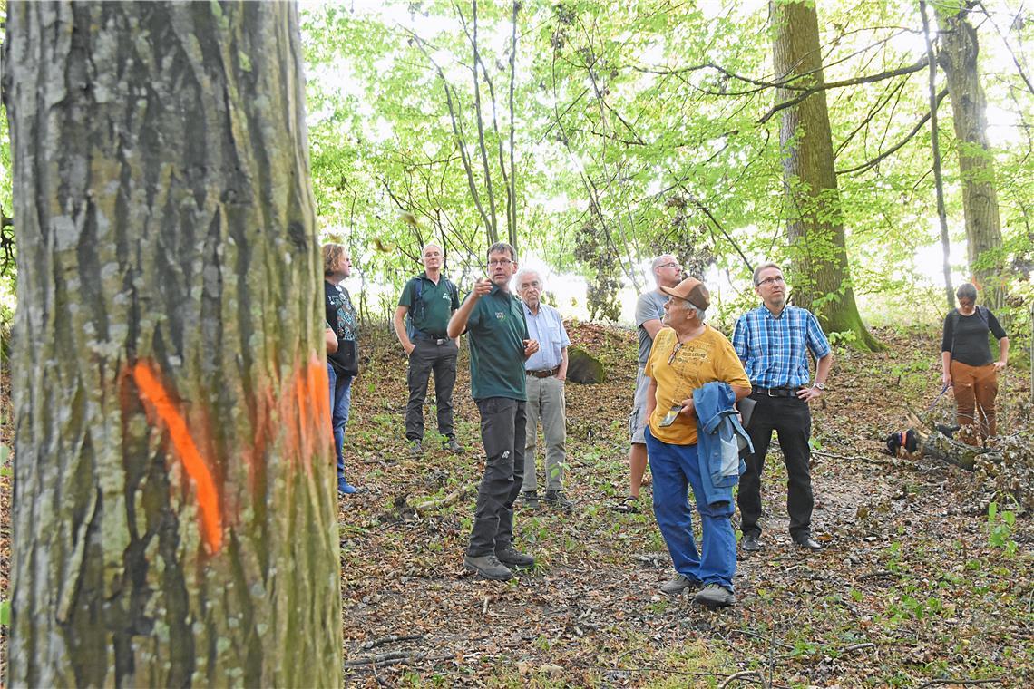 Bei einer Waldbegehung im Herrenhölzle zeigt Hans-Joachim Bek (Dritter von links), warum welche Bäume gefällt werden. Foto: Tobias Sellmaier