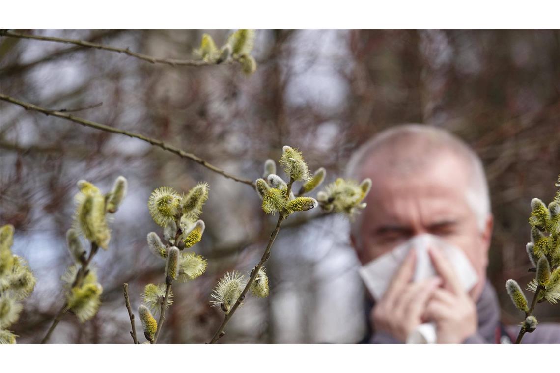 Bei Heuschnupfenpatienten kommt es zu einer Überreaktion des Immunsystems auf herumfliegende Pollen.