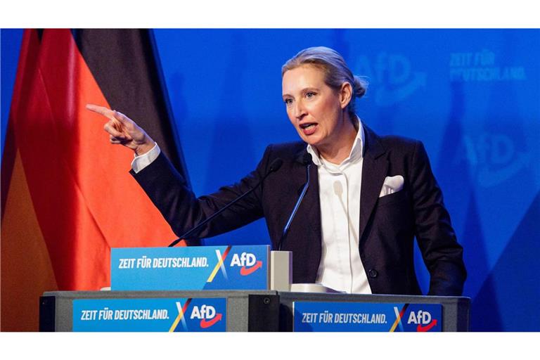 Bei ihren Auftritten lässt sich Alice Weidel feiern wie ein Popstar.