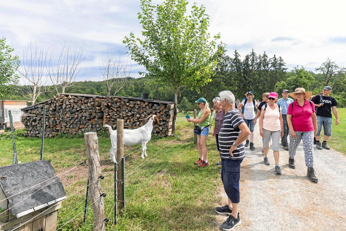 Beim BKZ-Wandertag entdecken 80 Wanderer die Schönheit des Weissacher Tals – inklusive tierischer Begegnungen. Fotos: Dietmar van der Linden