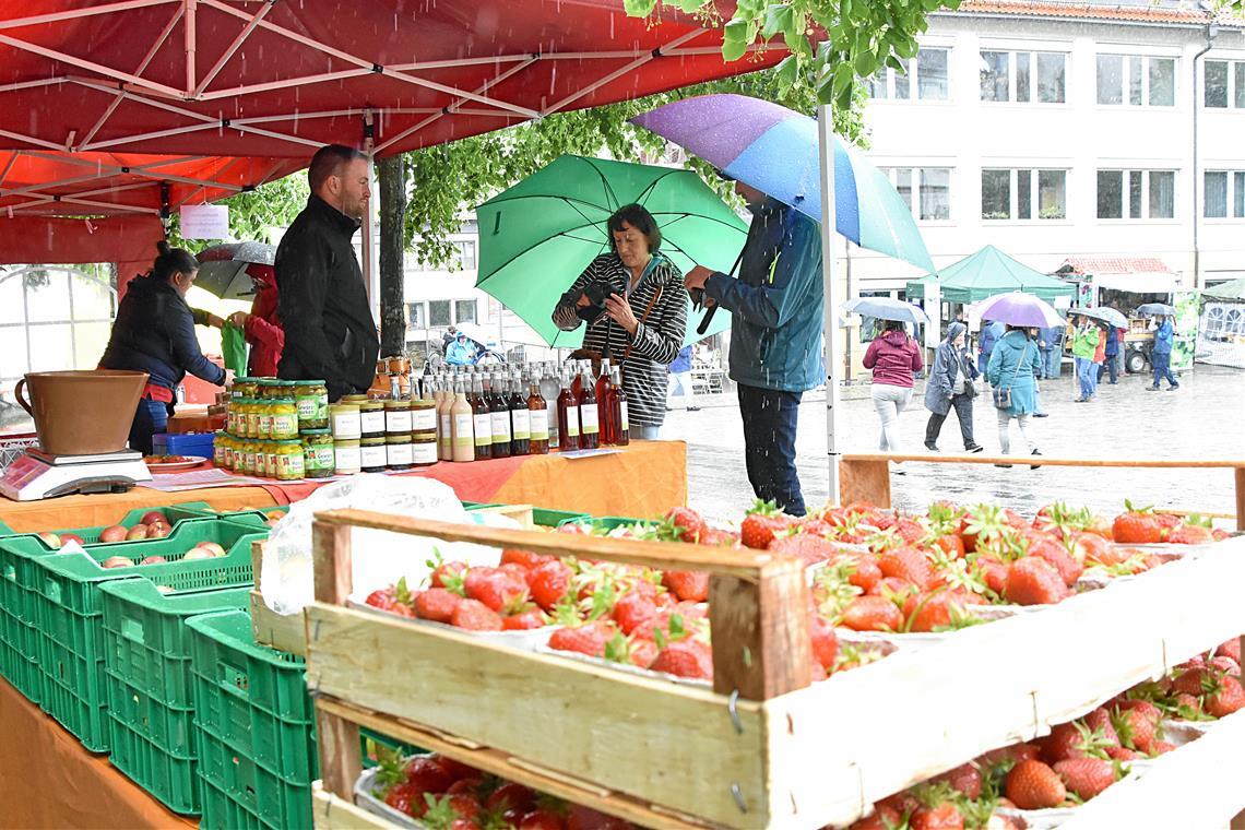 Beim Naturparkmarkt gehört der Regenschirm zur Grundausrüstung. Hier schauen sich Gäste auf dem Stiftshof bei Jürgen und Max Schleicher aus Pfedelbach um, die frisches Obst und feine Liköre im Angebot haben. Foto: Tobias Sellmaier