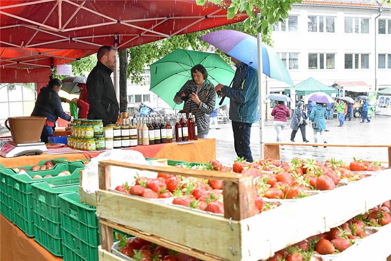 Beim Naturparkmarkt gehört der Regenschirm zur Grundausrüstung. Hier schauen sich Gäste auf dem Stiftshof bei Jürgen und Max Schleicher aus Pfedelbach um, die frisches Obst und feine Liköre im Angebot haben. Foto: Tobias Sellmaier