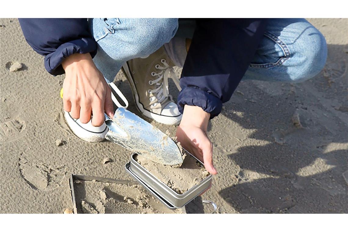 Beim Projekt "Mikroplastikdetektive" haben Bürgerinnen und Bürger Proben von Sandstränden genommen. Forschende des Bremerhavener Alfred-Wegener-Instituts (AWI) untersuchten diese auf Mikroplastik.