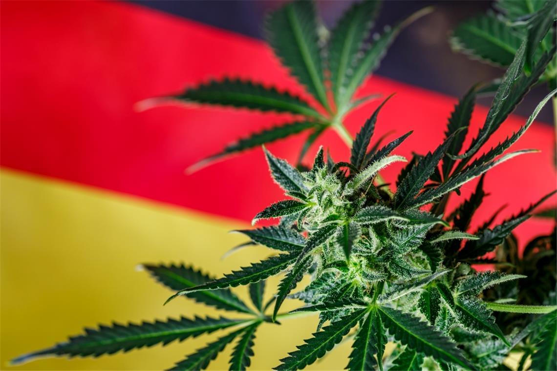 Beim Thema Cannabis gehen die Meinungen auseinander.