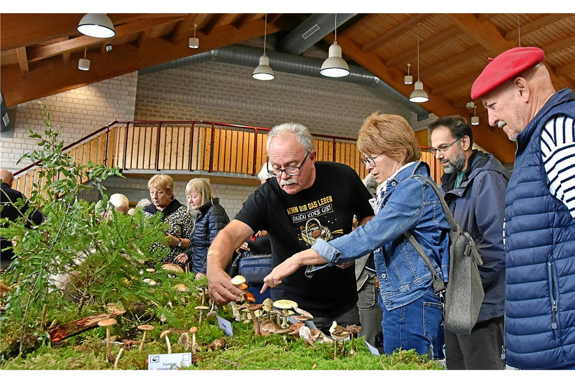 Beratung und fundierte Antworten aus erster Hand vom Pilzexperten und Naturparkführer Manfred Krautter. Foto: Tobias Sellmaier