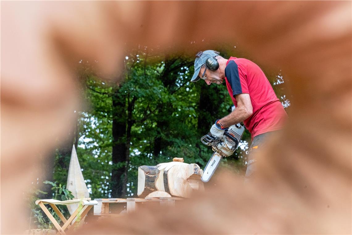 Bernd Leitermann hatte bisher nur abstrakt gearbeitet, jetzt soll bei dem Workshop in Rietenau eine Figur aus Platanenholz entstehen. Foto: Alexander Becher