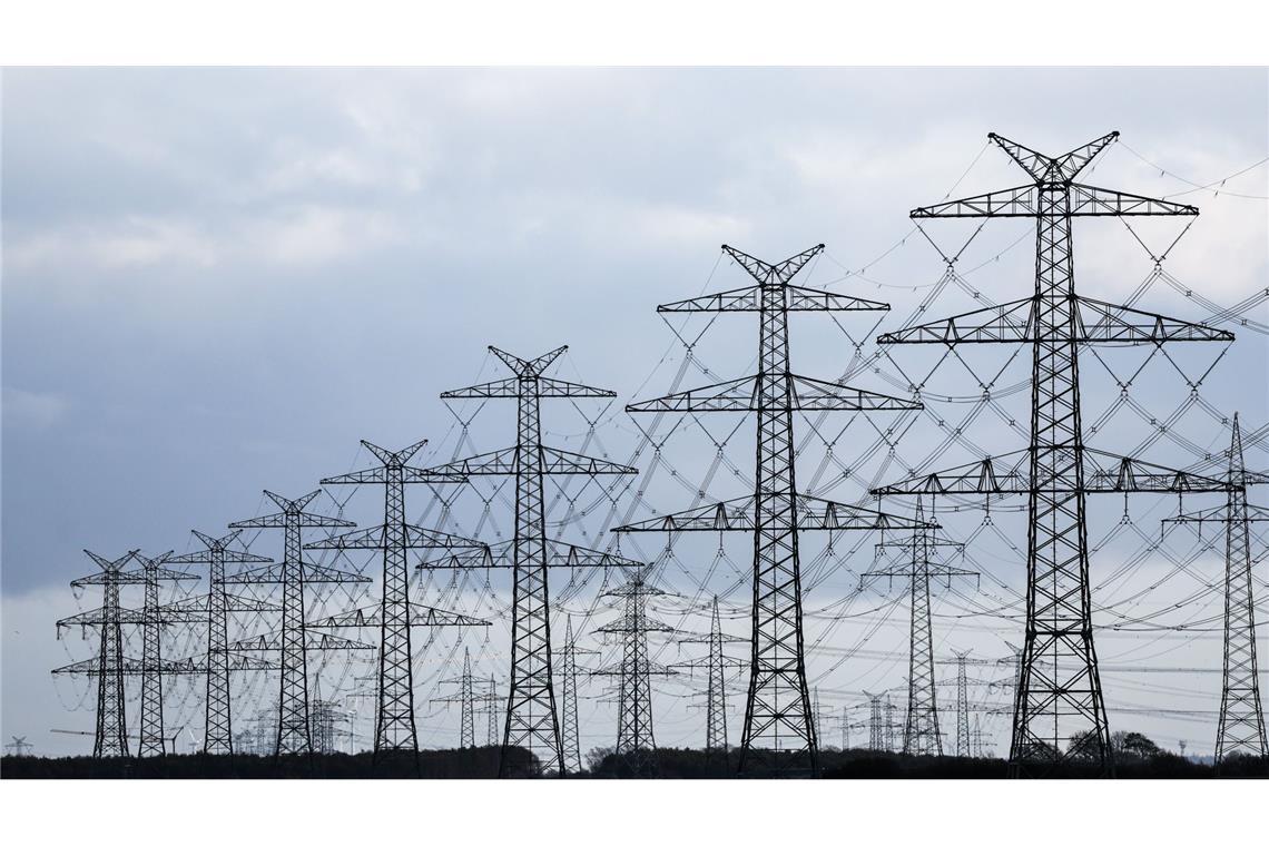 Bis 2045 soll der Ausbau der Stromleitungen etwa 320 Milliarden Euro kosten.