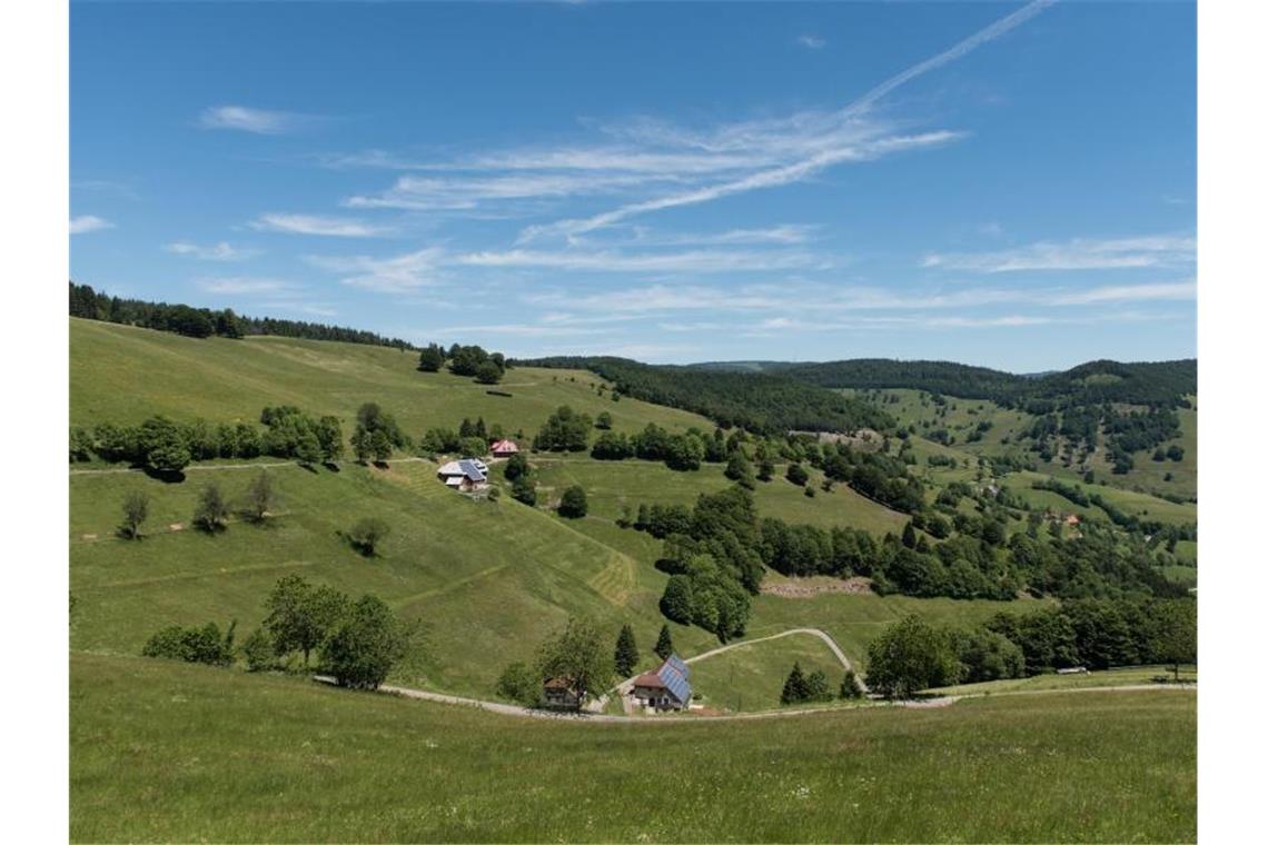 Blick in das Tal bei Wieden im Südschwarzwald. Foto: picture alliance/Patrick Seeger/dpa/Archivbild