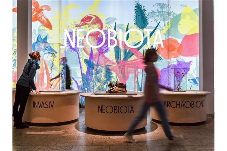 Blick in die Ausstellung „Neobiota – Natur im Wandel“ im Staatlichen Museum für Naturkunde. Foto: Uli Deck/dpa/Produktion